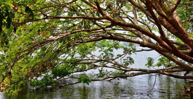 Foto Galería: Hermosas postales de la Laguna de las Ilusiones para disfrutar desde casa