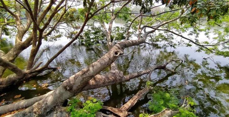 Foto Galería: Hermosas postales de la Laguna de las Ilusiones para disfrutar desde casa