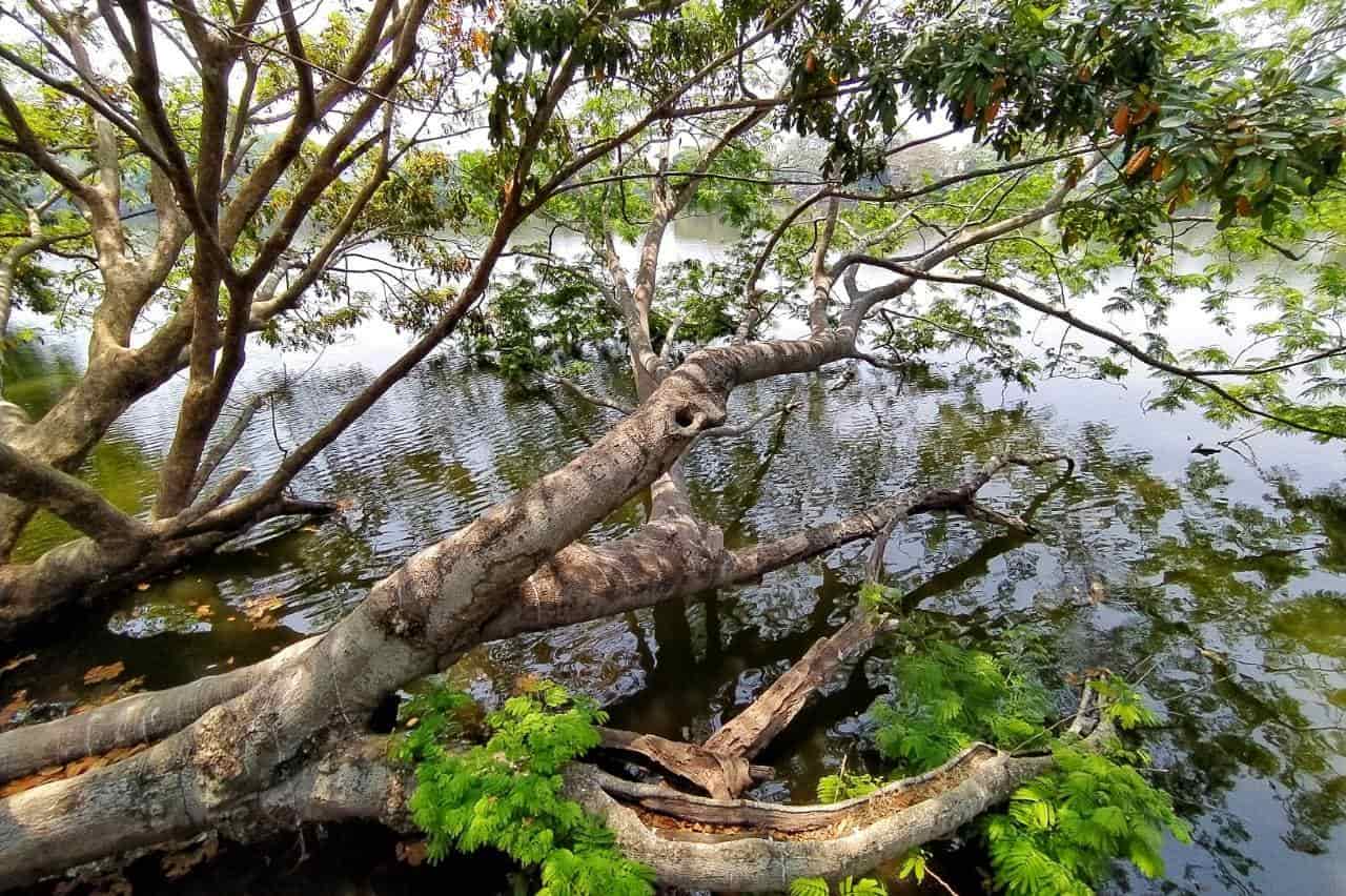 Galería de Fotos - Finca Villa Hermosa, image size:1280x852