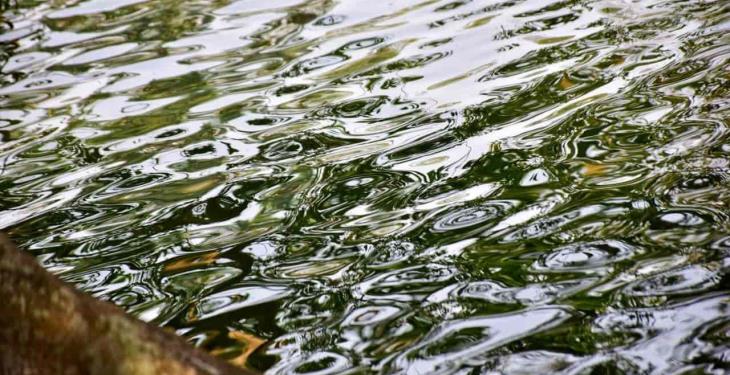Foto Galería: Hermosas postales de la Laguna de las Ilusiones para disfrutar desde casa