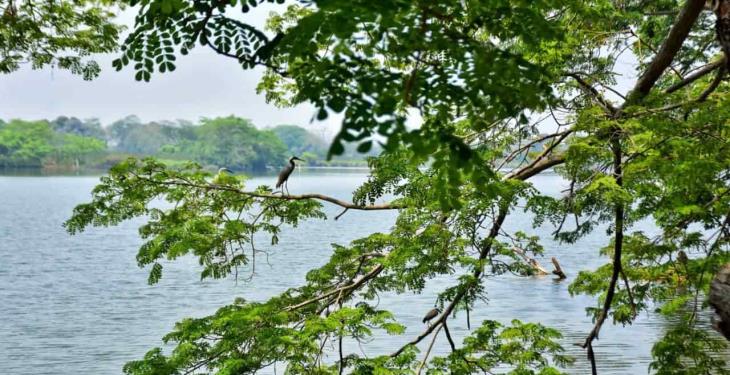 Foto Galería: Hermosas postales de la Laguna de las Ilusiones para disfrutar desde casa