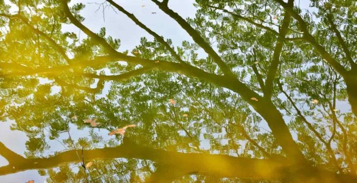 Foto Galería: Hermosas postales de la Laguna de las Ilusiones para disfrutar desde casa