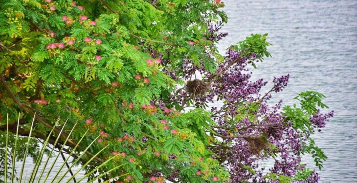 Foto Galería: Hermosas postales de la Laguna de las Ilusiones para disfrutar desde casa