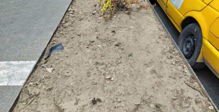 Se secan plantas de jardineras de Paseo Tabasco