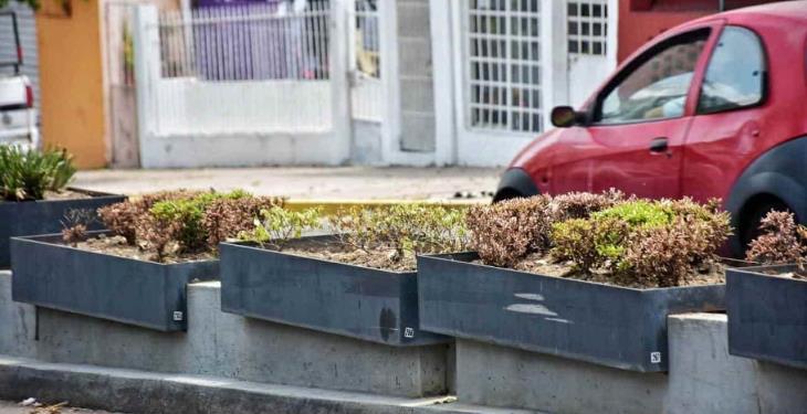Se secan plantas de jardineras de Paseo Tabasco