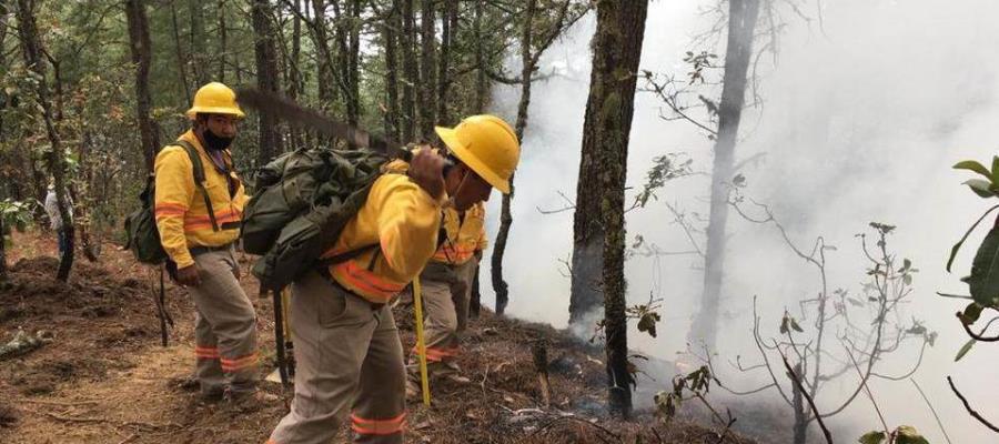 Declaran emergencia por incendios en cinco municipios de Oaxaca