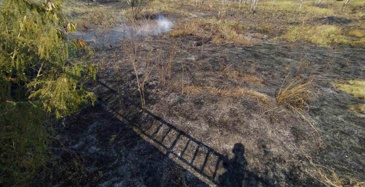 Se registran múltiples incendios en la Vhsa-Teapa; amenazan a conjuntos habitacionales