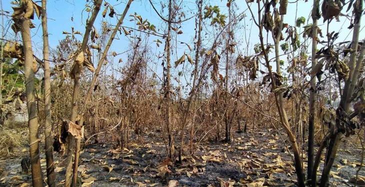 Se registran múltiples incendios en la Vhsa-Teapa; amenazan a conjuntos habitacionales