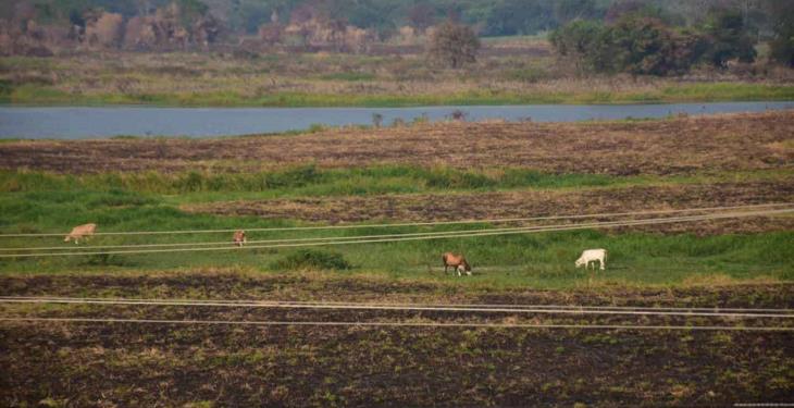 Se registran múltiples incendios en la Vhsa-Teapa; amenazan a conjuntos habitacionales