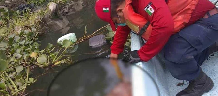 Rescatan cuerpo de ahogado en el río Carrizal