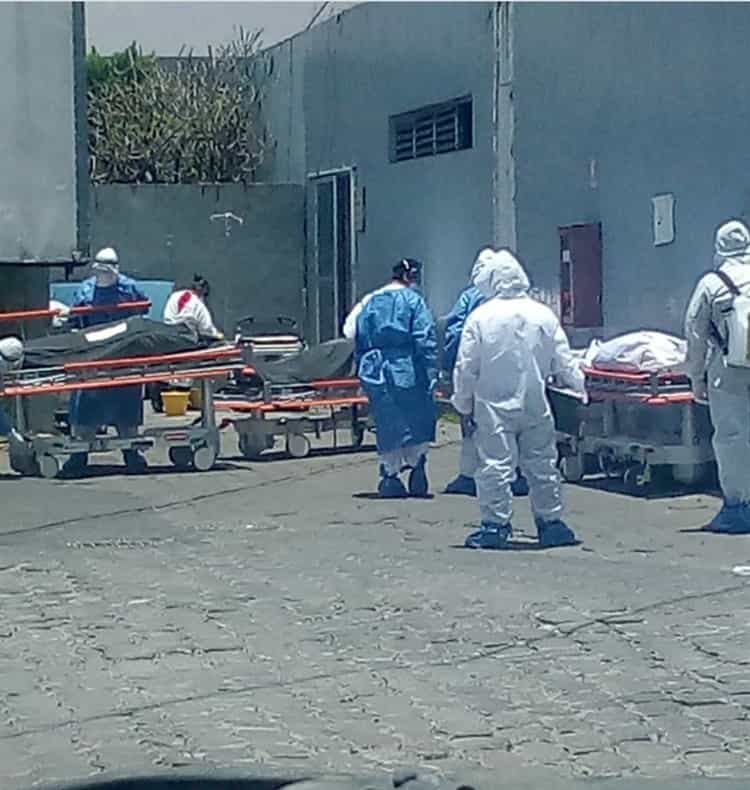 imagen-cuerpo imagen-cuerpo