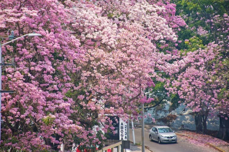 imagen-cuerpo imagen-cuerpo