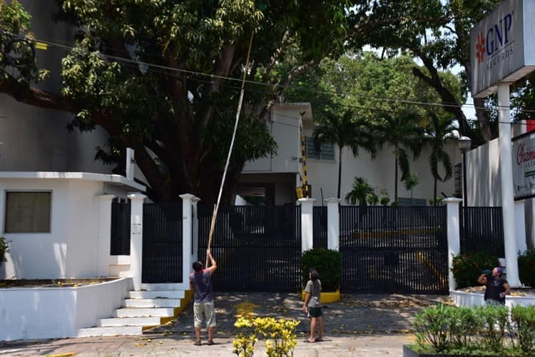 imagen-cuerpo imagen-cuerpo