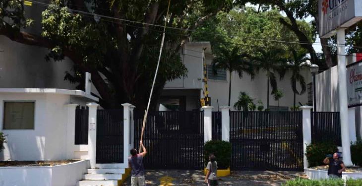 Selección fotográfica de la semana Selección fotográfica de la semana
