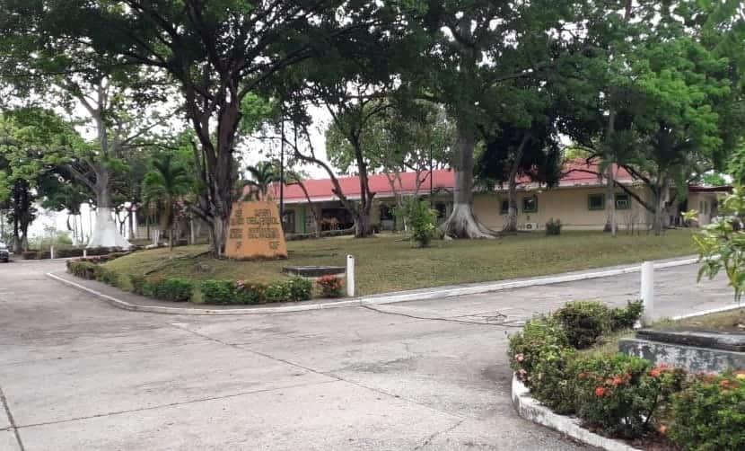 Fallecen 4 adultos mayores de la Casa del Árbol diagnosticados con COVID-19