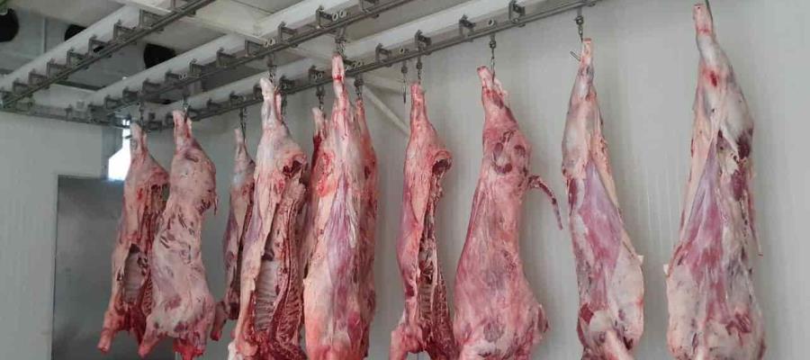 Instalan Centro de Acopio de reses para apoyar a damnificados de Tabasco 