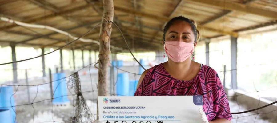 Yucatán entrega créditos a productores para que conserven sus negocios durante la pandemia Yucatán entrega créditos a productores para que conserven sus negocios durante la pandemia
