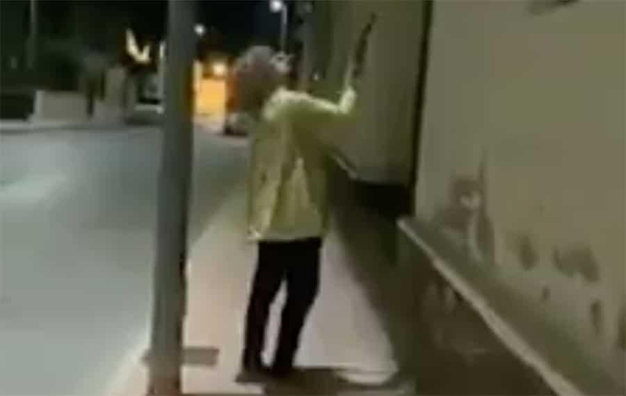 Exhiben a mujer por destrozar a escobazos más de 50 nidos de golondrinas en España