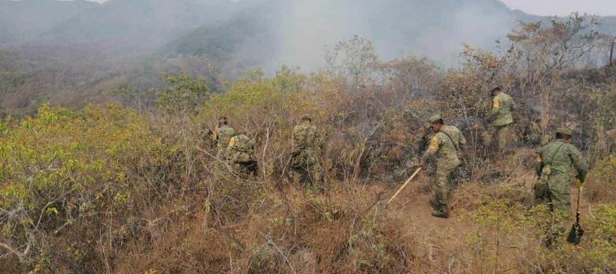 Incendios en 10 estados del país consumen más de 20 mil hectáreas de vegetación: SEDENA Incendios en 10 estados del país consumen más de 20 mil hectáreas de vegetación: SEDENA