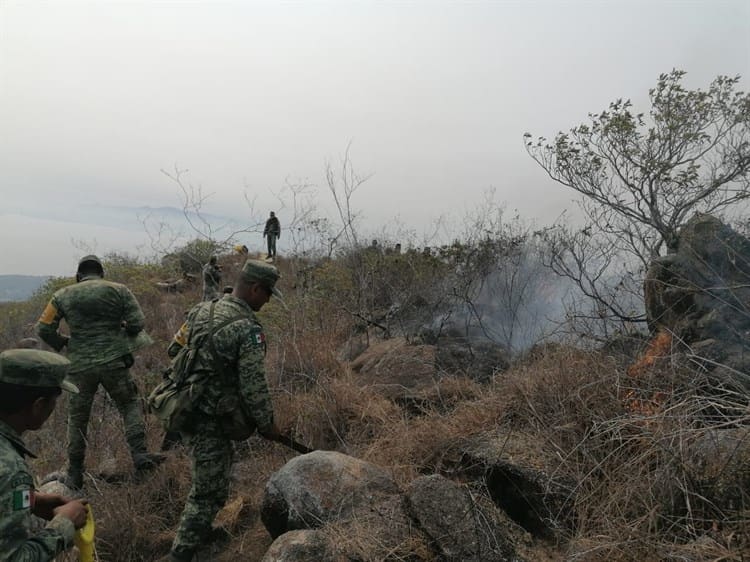 imagen-cuerpo imagen-cuerpo