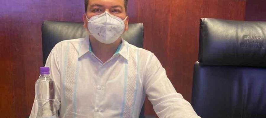 Considera Senador de Morena que la SADER sabrá blindar la frontera para impedir la invasión del ‘avispón asesino’ Considera Senador de Morena que la SADER sabrá blindar la frontera para impedir la invasión del ‘avispón asesino’