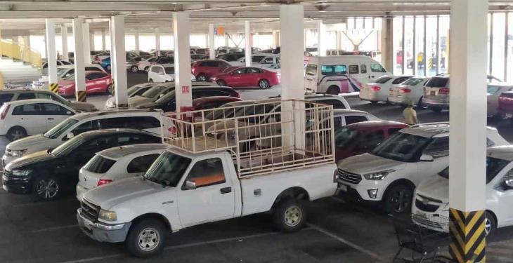 Ciudadanos se preparan para el fin de semana; supermercados registran gran afluencia