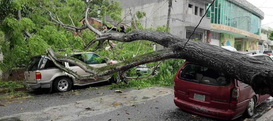 Deja ‘Cristóbal’ afectaciones en cuatro municipios de Tabasco, reporta Gobierno del Estado
