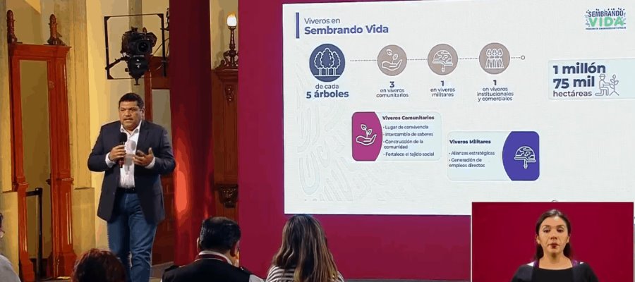 Reporta Bienestar avance del 90% de la meta sexenal del programa ‘Sembrando Vida’ Reporta Bienestar avance del 90% de la meta sexenal del programa ‘Sembrando Vida’