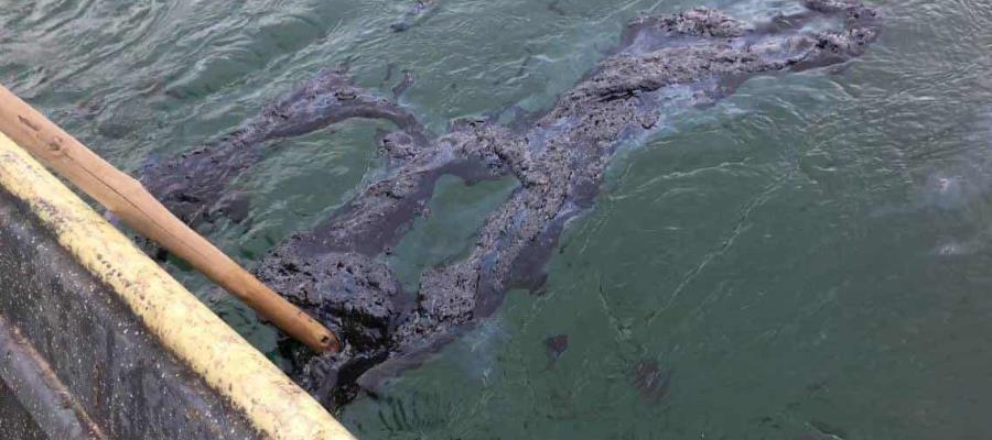 Denuncian derrame de petróleo crudo en El Bellote, Paraíso que contamina la laguna Mecoacán: Diputada
