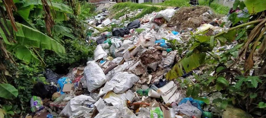 Vecinos arrojan basura a los márgenes del río Grijalva en Gaviotas Sur