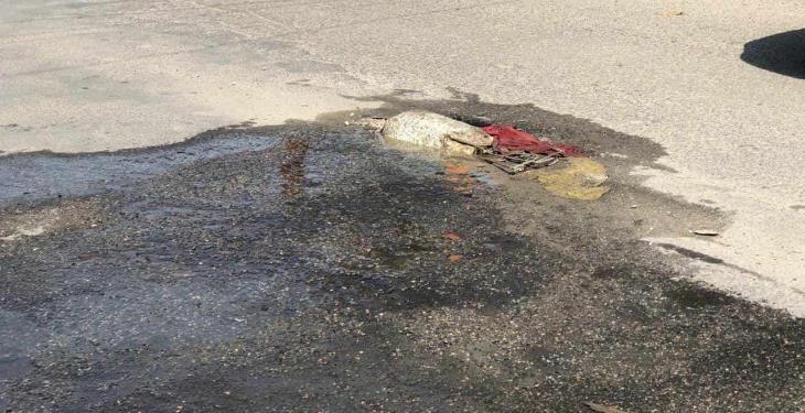 Afectadas 5 mil familias en Asunción Castellanos por agua sucia y fugas