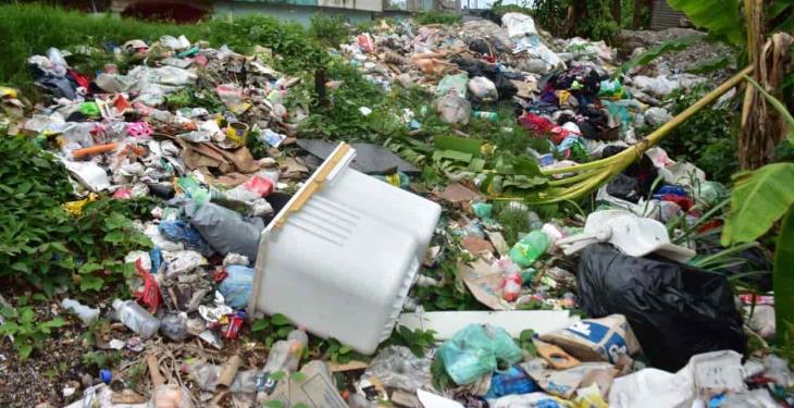 Selección fotográfica de la semana