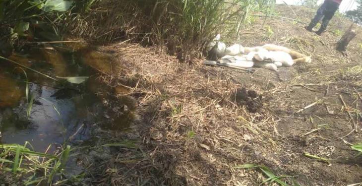 Vandalizan línea de gas en Cárdenas… y provocan fuga de combustible