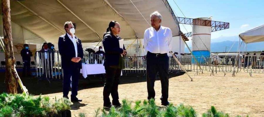 Sostiene el presidente que Sembrando Vida genera más empleos que una planta de la Ford en México