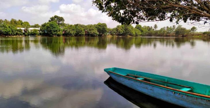 Vecinos organizados emprenden el rescate y reactivación de la laguna La Majahua. Vecinos organizados emprenden el rescate y reactivación de la laguna La Majahua.