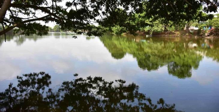 Vecinos organizados emprenden el rescate y reactivación de la laguna La Majahua. Vecinos organizados emprenden el rescate y reactivación de la laguna La Majahua.