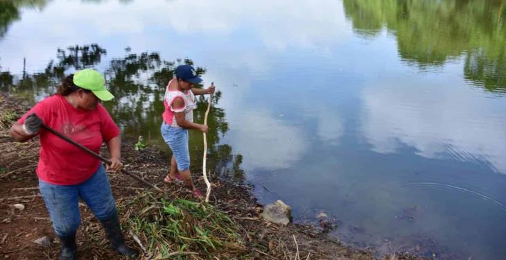 Vecinos organizados emprenden el rescate y reactivación de la laguna La Majahua. Vecinos organizados emprenden el rescate y reactivación de la laguna La Majahua.