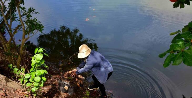 Vecinos organizados emprenden el rescate y reactivación de la laguna La Majahua. Vecinos organizados emprenden el rescate y reactivación de la laguna La Majahua.