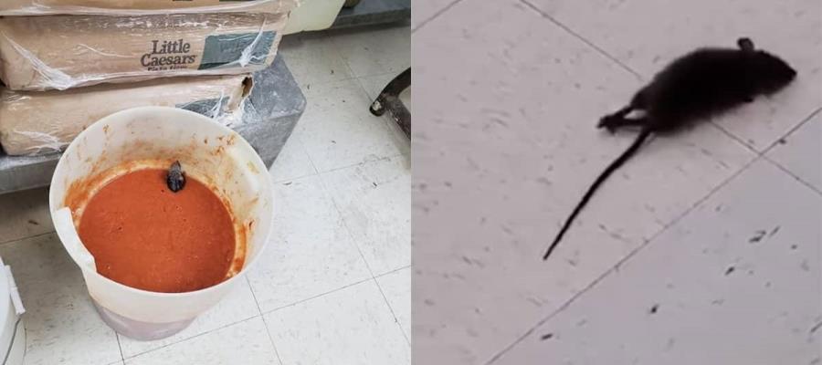 Exempleado de cadena de comida en EU denuncia “horda de ratas” entre ingredientes para elaborar las pizzas