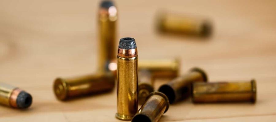 Exige Article 19 al gobierno federal que no se repitan masacres como las de Guanajuato