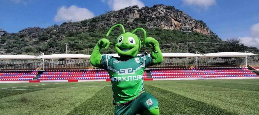 Presentan oficialmente a los Chapulineros de Oaxaca