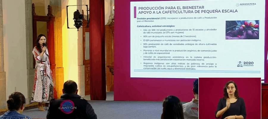 Anuncia SADER programa emergente de créditos para productores de café