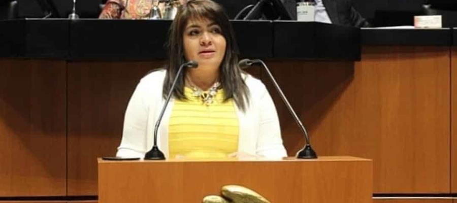 Informa Monreal que senadora Nestora Salgado ya fue dada de alta de coronavirus Informa Monreal que senadora Nestora Salgado ya fue dada de alta de coronavirus
