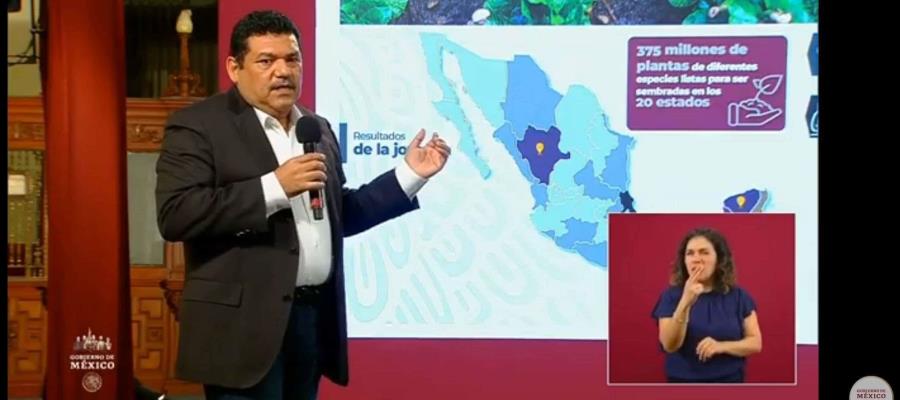 Estima Gobierno Federal alcanzar los 550 millones de árboles sembrados en 2020 Estima Gobierno Federal alcanzar los 550 millones de árboles sembrados en 2020