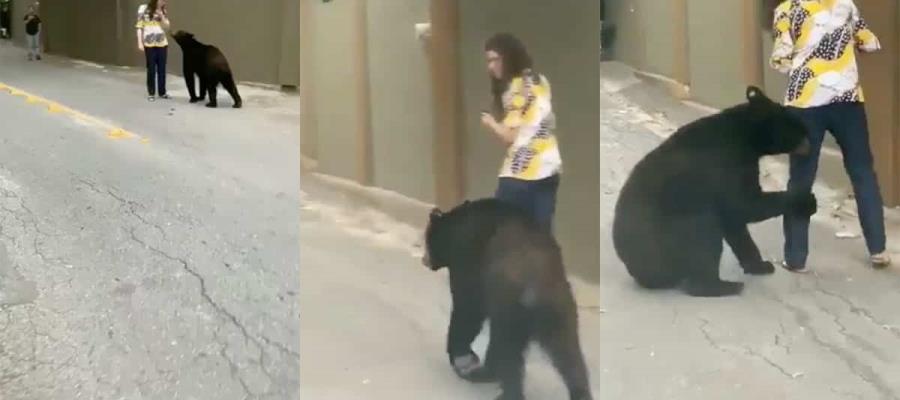 Lanzan petición en Chance.org para evitar que oso negro de Chipinque sea enviado al zoológico Lanzan petición en Chance.org para evitar que oso negro de Chipinque sea enviado al zoológico