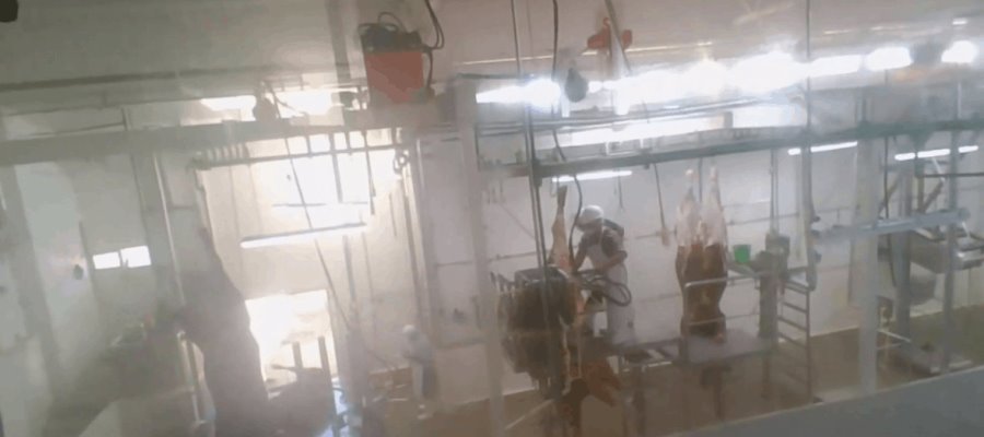 Ganadera de Centla se pronuncia por dotar de materia prima a “Cárnicos Fricetab”