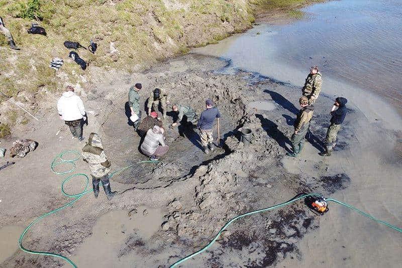 Hallan restos de mamut lanudo al norte de Siberia