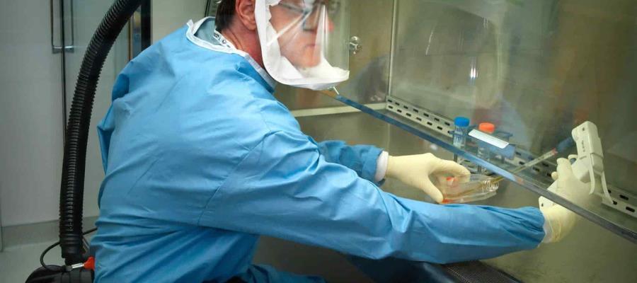 Pide la OMS a Rusia respetar pautas y regulaciones ante posible campaña para la aplicación de vacuna contra el COVID-19 Pide la OMS a Rusia respetar pautas y regulaciones ante posible campaña para la aplicación de vacuna contra el COVID-19