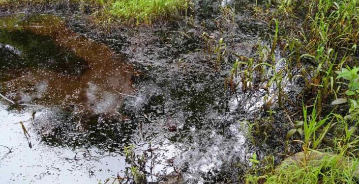 Denuncian vigencia de derrame de hidrocarburos en ranchería de Huimanguillo