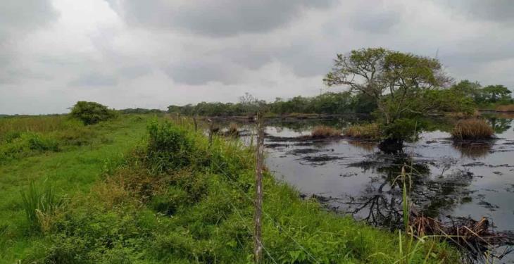 Denuncian vigencia de derrame de hidrocarburos en ranchería de Huimanguillo